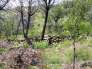 photo thumbnail #9