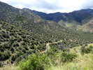 photo thumbnail #13