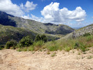 photo thumbnail #15