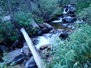 photo thumbnail #2