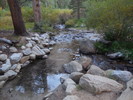 photo thumbnail #2