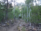 photo thumbnail #5