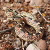 photo thumbnail #3