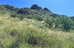 photo thumbnail #11