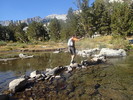photo thumbnail #3