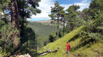 photo thumbnail #6