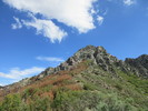 photo thumbnail #1