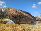 photo thumbnail #7