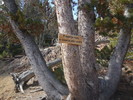 photo thumbnail #12