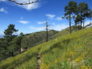 photo thumbnail #3