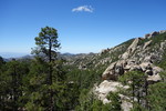 photo thumbnail #1