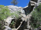 photo thumbnail #10
