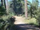 photo thumbnail #12