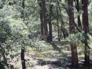 photo thumbnail #14