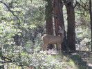 photo thumbnail #15