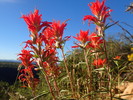 photo thumbnail #6