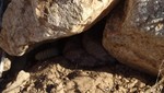 photo thumbnail #5