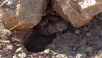 photo thumbnail #6