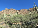 photo thumbnail #4