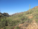 photo thumbnail #6