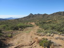 photo thumbnail #8