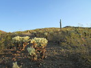 photo thumbnail #5