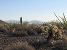 photo thumbnail #8