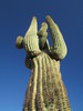 photo thumbnail #10