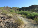 photo thumbnail #12