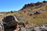 photo thumbnail #4