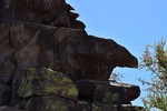photo thumbnail #14