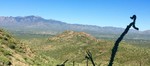 photo thumbnail #2