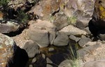 photo thumbnail #9