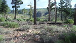 photo thumbnail #15