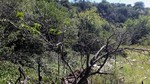 photo thumbnail #15