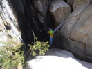 photo thumbnail #1