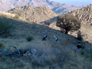 photo thumbnail #2