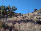 photo thumbnail #8