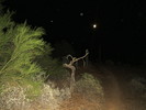 photo thumbnail #2