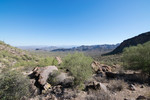 photo thumbnail #6