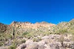 photo thumbnail #12
