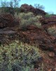 photo thumbnail #1