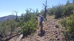 photo thumbnail #4