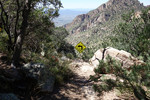 photo thumbnail #15