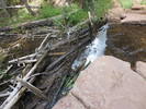 photo thumbnail #2