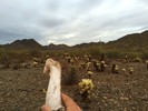 photo thumbnail #2