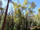 photo thumbnail #5