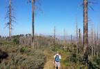 photo thumbnail #2