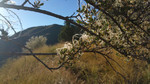 2016-09-17 :1: Lane Mountain 233 - Crown King Back Road Loop :: joebartels