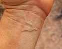photo thumbnail #2